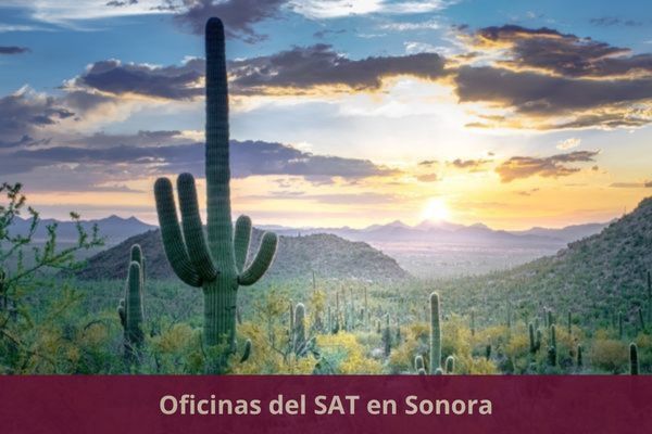 Directorio de oficinas del SAT en Sonora ➜ Listado con todos los municipios