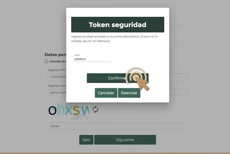 guia como consultar mi cita en el SAT - paso 4 introduce el token recibido por correo