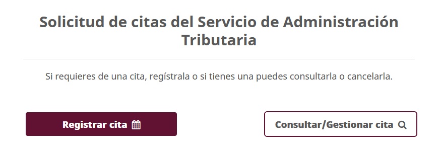 guia como consultar una cita en el SAT - paso 2 elige la opcion consultar gestionar cita